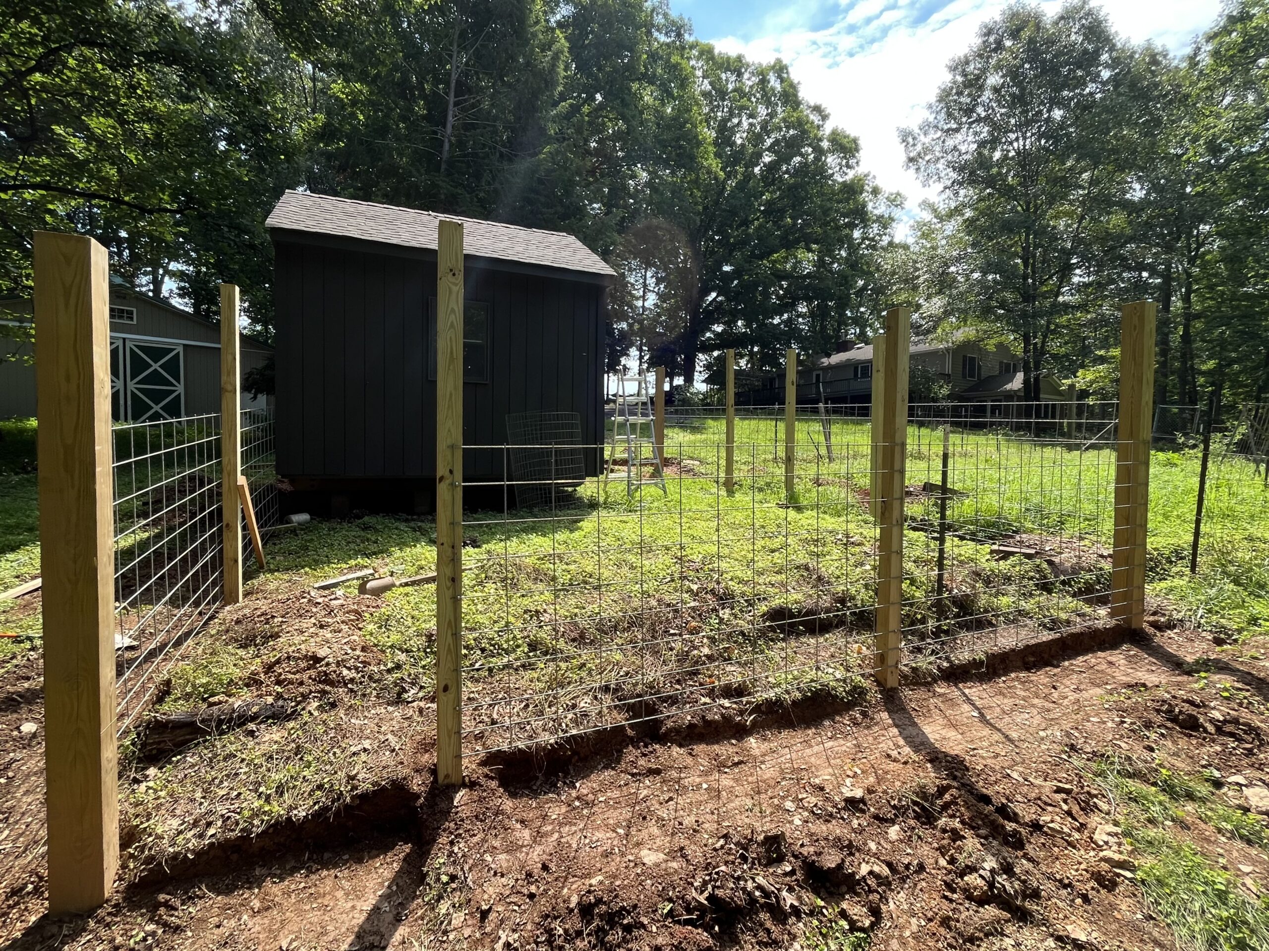 Chicken run with ground reinforcement.