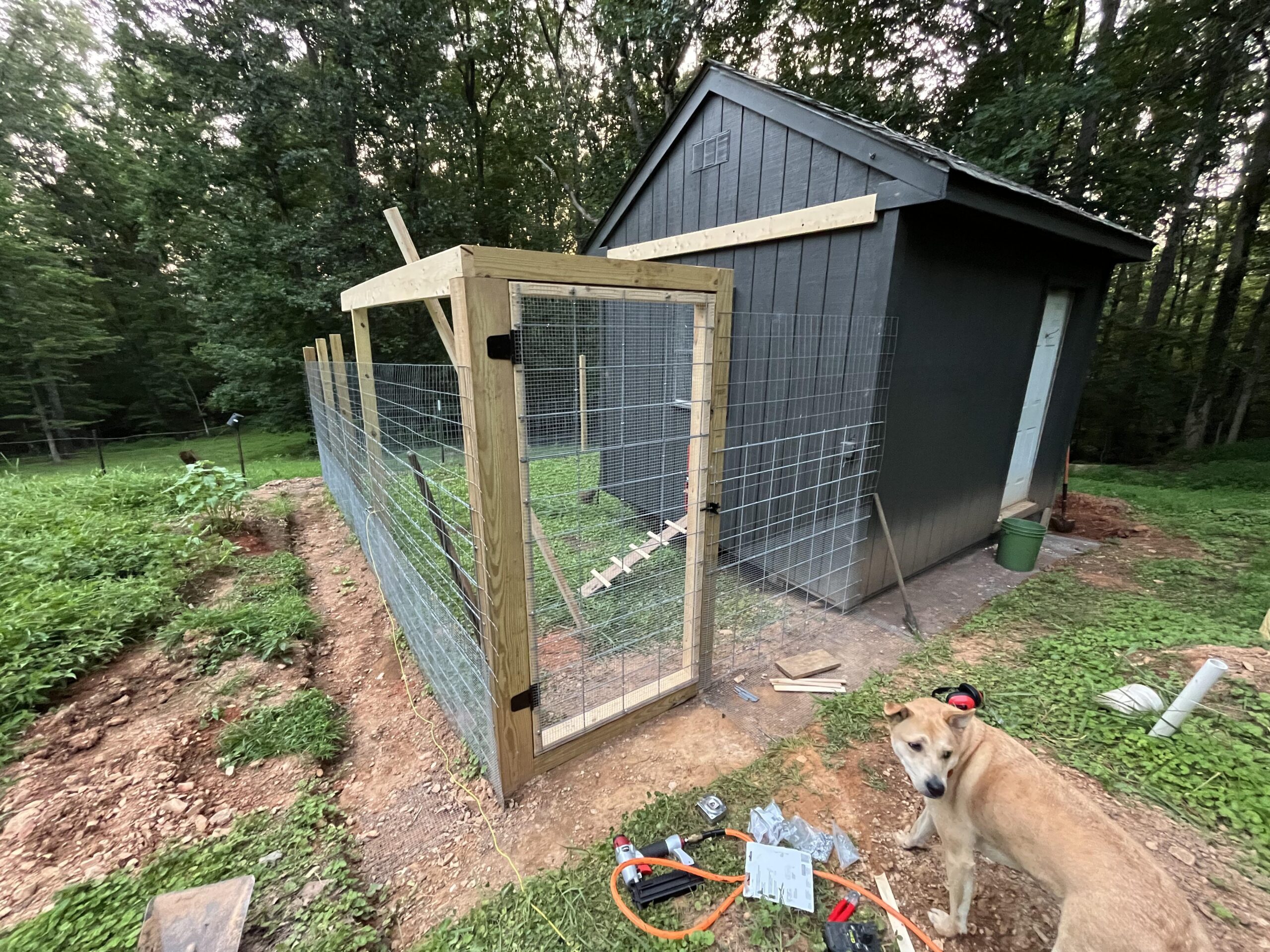 Chicken run fencing and door installation.